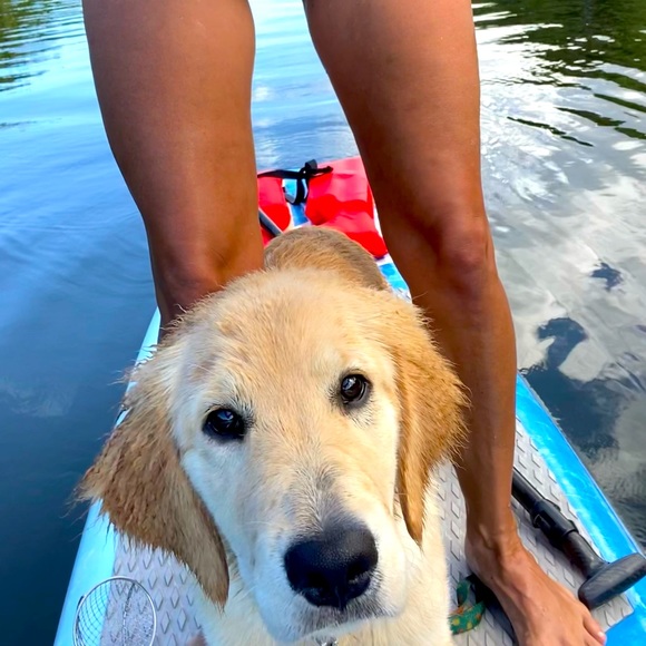 Meet your Posher, Adrienne “Surf Sugar” and her best friend Amelia. - Picture 3 of 9